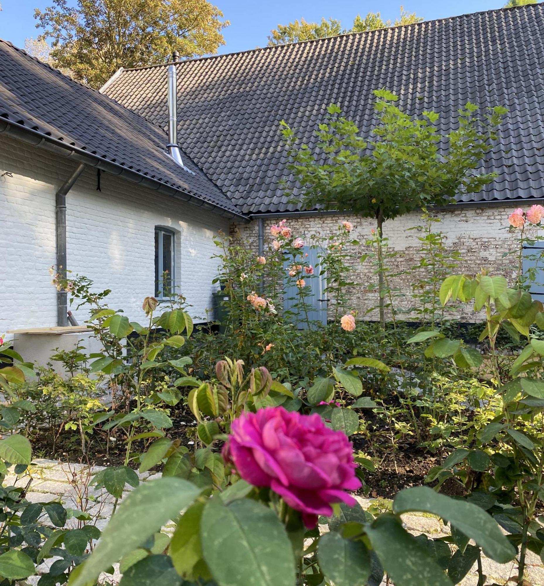 Cottage Landgoed Frymerson Sint Odiliënberg المظهر الخارجي الصورة