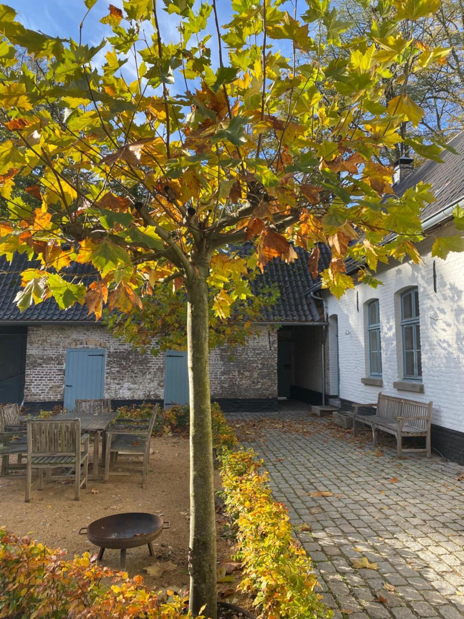 Cottage Landgoed Frymerson Sint Odiliënberg المظهر الخارجي الصورة