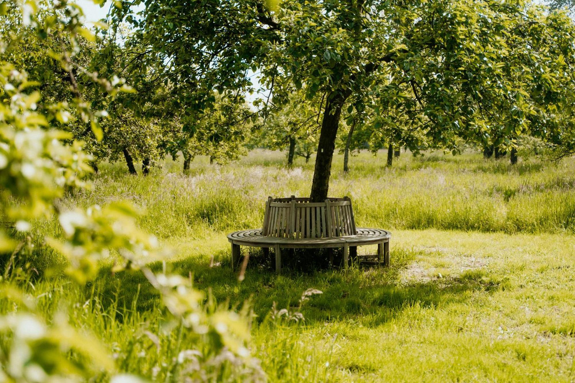 Cottage Landgoed Frymerson Sint Odiliënberg المظهر الخارجي الصورة