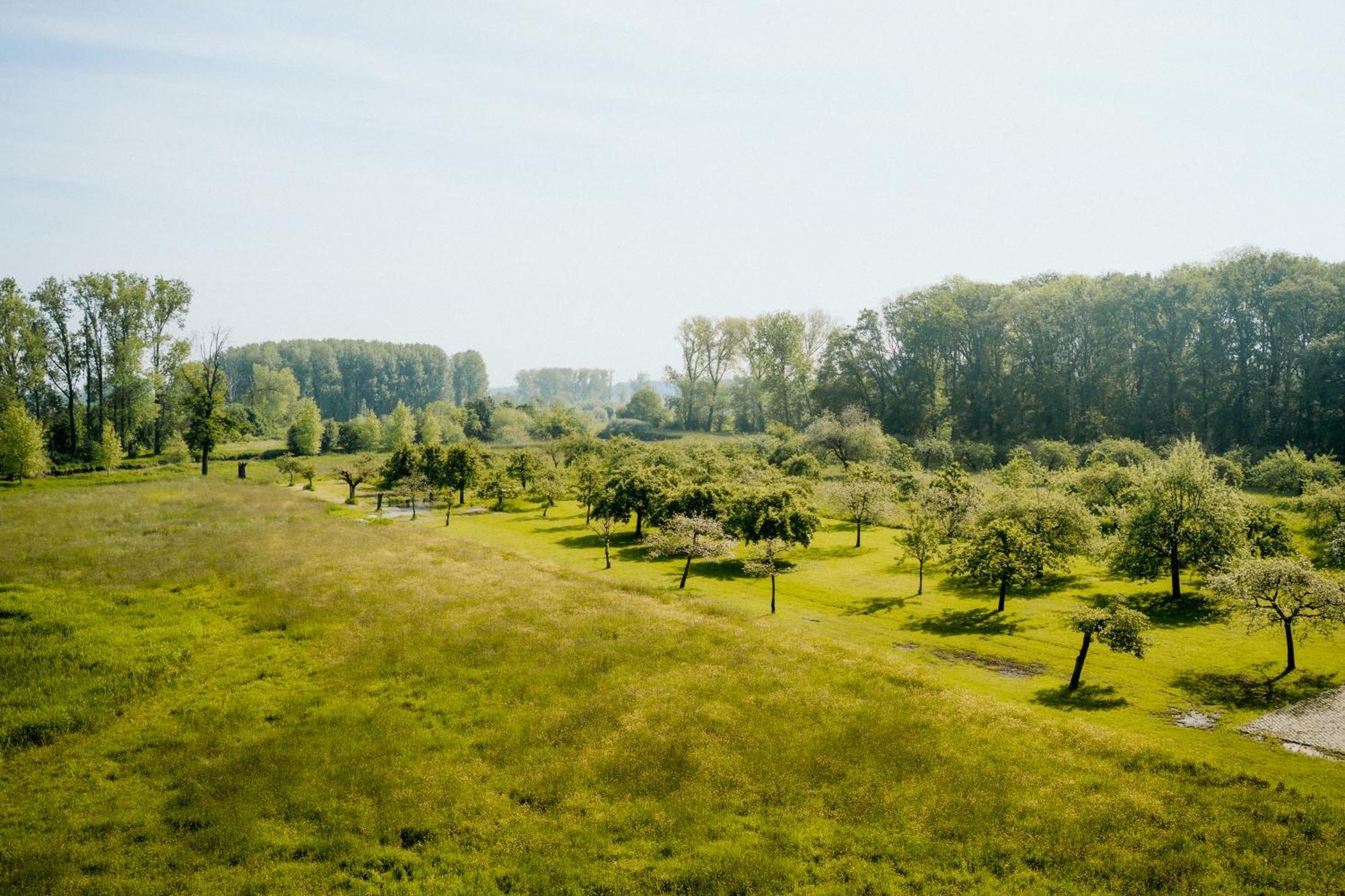 Cottage Landgoed Frymerson Sint Odiliënberg المظهر الخارجي الصورة